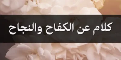 كلام عن الكفاح والنجاح
