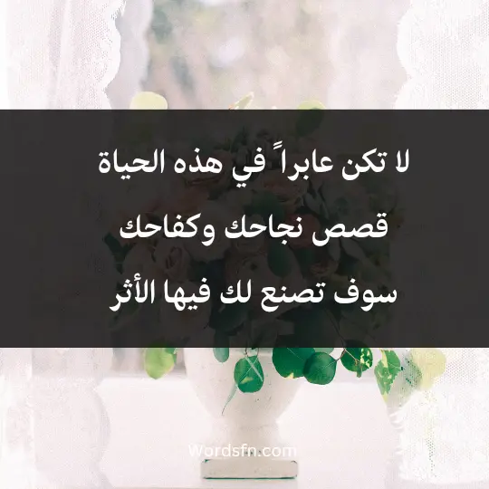 لا تكن عابرا ً في هذه الحياة، قصص نجاحك وكفاحك سوف تصنع لك فيها الأثر