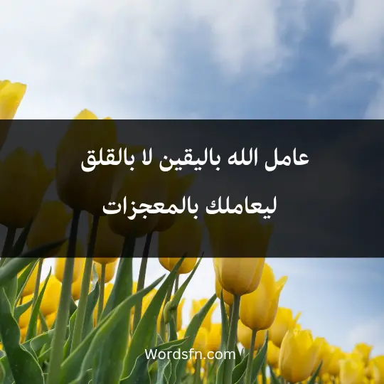 عامل الله باليقين لا بالقلق ، ليعاملك بالمعجزات