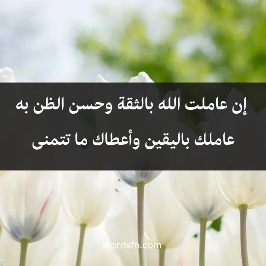  إن عاملت الله بالثقة، وحسن الظن به؛ عاملك باليقين، وأعطاك ما تتمنى