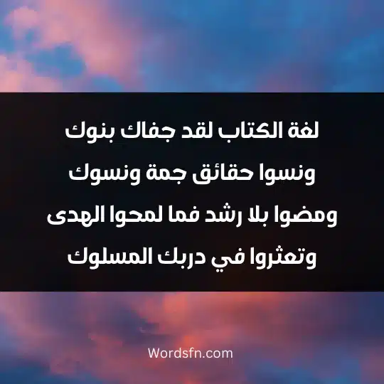 The most beautiful poems about the Arabic language 4 - فن العبارات لغة الكتاب لقد جفاك بنوك ونسوا حقائق جمة ونسوك ومضوا بلا رشد فما لمحوا الهدى وتعثروا في دربك المسلوك