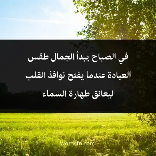 The most beautiful words in the morning 4 - فن العبارات في الصباح يبدأ الجمال طقس العبادة عندما يفتح نوافذ القلب ليعانق طهارة السماء