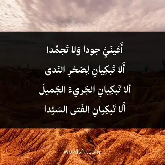 أَعَينَيَّ جودا وَلا تَجمُدا أَلا تَبكِيانِ لِصَخرِ النَدى ألا تَبكِيانِ الجَريءَ الجَميلَ أَلا تَبكِيانِ الفَتى السَيِّدا
