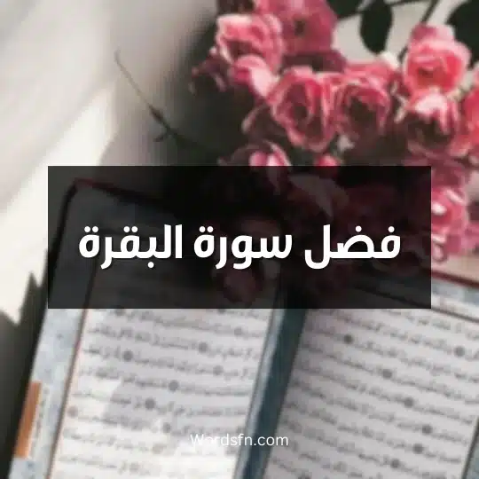 فضل سورة البقرة