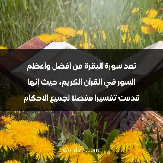 تعد سورة البقرة من أفضل وأعظم السور في القرآن الكريم، حيث إنها قدمت تفسيرا مفصلا لجميع الأحكام