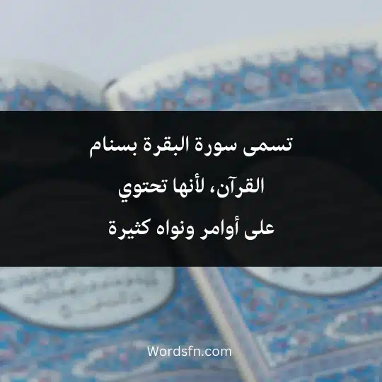 تسمى سورة البقرة بسنام القرآن، لأنها تحتوي على أوامر ونواه كثيرة