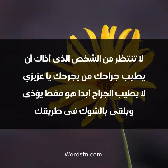 لا تنتظر من الشخص الذى أذاك أن يطيب جراحك من يجرحك يا عزيزي لا يطيب الجراح أبدا هو فقط يؤذى ويلقى بالشوك فى طريقك