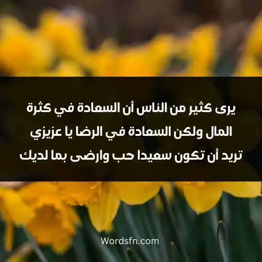 يرى كثير من الناس أن السعادة في كثرة المال ولكن السعادة في الرضا يا عزيزي تريد أن تكون سعيدا حب وارضى بما لديك
