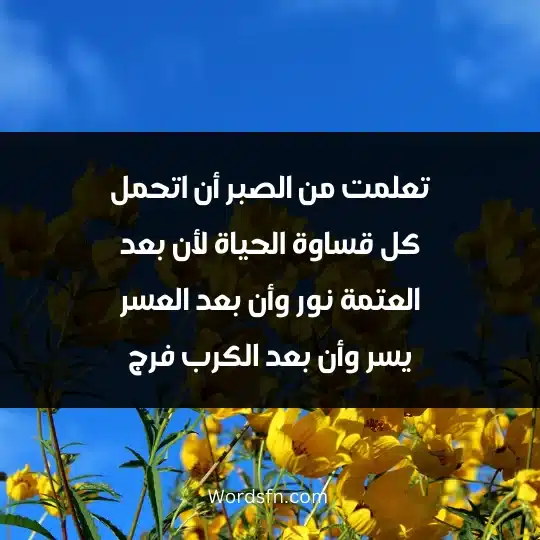 تعلمت من الصبر أن اتحمل كل قساوة الحياة لأن بعد العتمة نور وأن بعد العسر يسر وأن بعد الكرب فرج