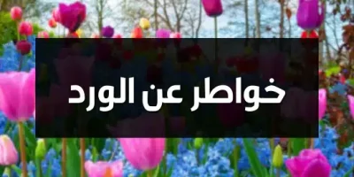 خواطر عن الورد