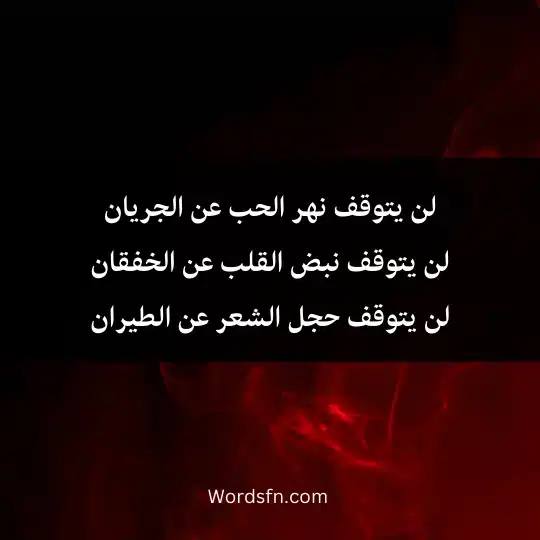 لن يتوقف نهر الحب عن الجريان