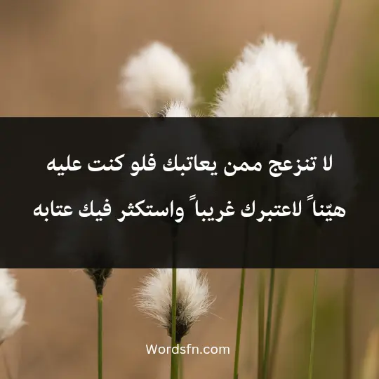 لا تنزعج ممن يعاتبك، فلو كنت عليه هيّنا ً لاعتبرك غريبا ً واستكثر فيك عتابه