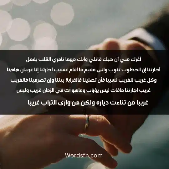Verses about love 1 - فن العبارات أغرك مني أن حبك قاتلي وأنك مهما تأمري القلب يفعل أجارتنا إن الخطوب تنوب واني مقيم ما أقام عسيب أجارتنا إنا غريبان هاهنا وكل غريب للغريب نسيبا فأن تصلينا فالقرابة بيننا وإن تصرمينا فالغريب غريب اجارتنا مافات ليس يؤؤب وماهو آت في الزمان قريب وليس غريبا من تناءت دياره ولكن من وارى التراب غريبا