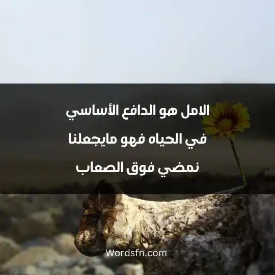 الامل هو الدافع الأساسي في الحياه فهو مايجعلنا نمضي فوق الصعاب