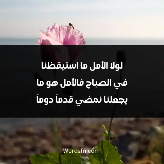 لولا الأمل ما استيقظنا في الصباح فالأمل هو ما يجعلنا نمضي قدماً دوماً