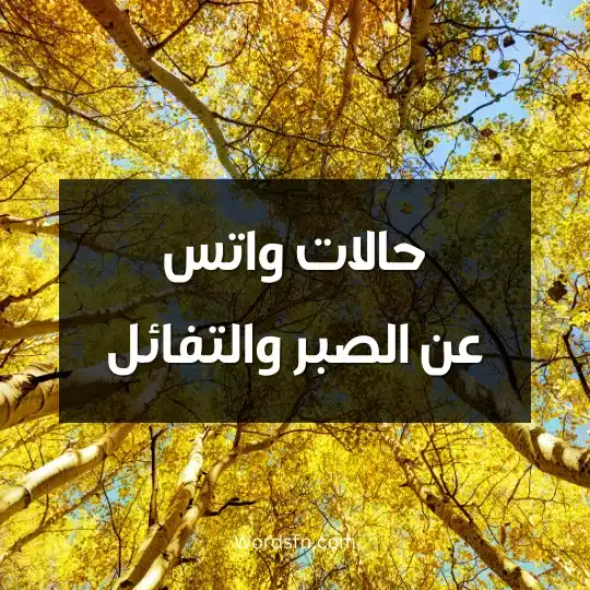حالات واتس عن الصبر والتفائل