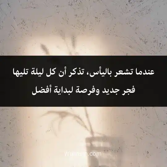 عندما تشعر باليأس، تذكر أن كل ليلة تليها فجر جديد وفرصة لبداية أفضل