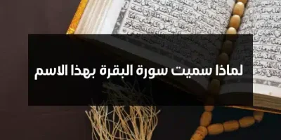لماذا سميت سورة البقرة بهذا الاسم
