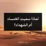 لماذا سميت الخنساء أم الشهداء؟