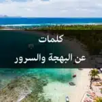 كلمات عن البهجة والسرور