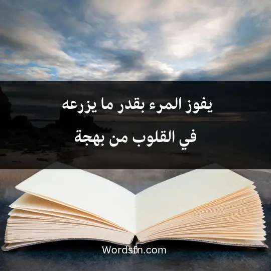 Words about joy and pleasure 1 - فن العبارات يفوز المرء بقدر ما يزرعه في القلوب من بهجة