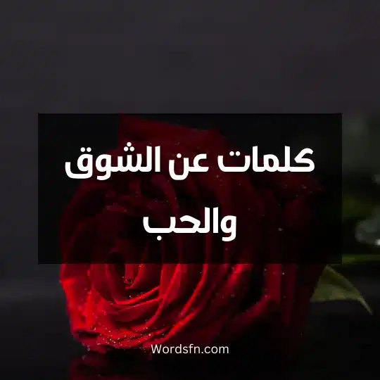 كلمات عن الشوق والحب