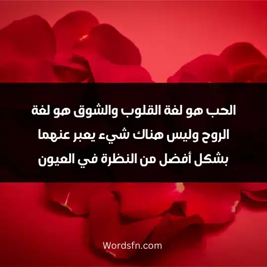 Words about longing and love 3 - فن العبارات الحب هو لغة القلوب والشوق هو لغة الروح وليس هناك شيء يعبر عنهما بشكل أفضل من النظرة في العيون