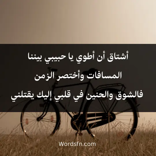 أشتاق أن أطوي يا حبيبي بيننا المسافات وأختصر الزمن، فالشوق والحنين في قلبي إليك يقتلني