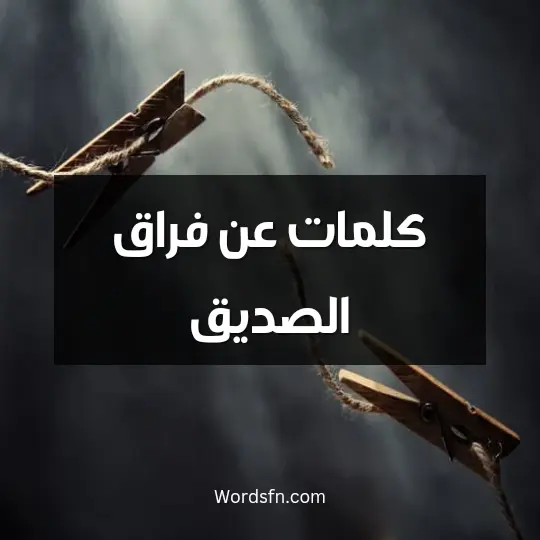 كلمات عن فراق الصديق