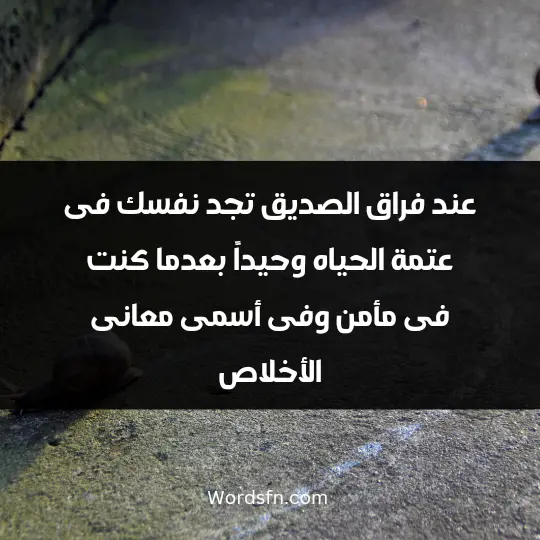 Words about parting with a friend 1 - فن العبارات عند فراق الصديق تجد نفسك فى عتمة الحياه وحيداً بعدما كنت فى مأمن وفى أسمى معانى الأخلاص