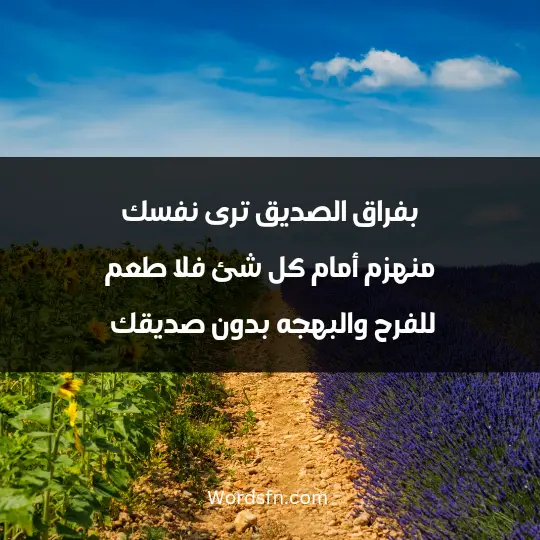 Words about parting with a friend 2 - فن العبارات لفراق الصديق ألم لا ينتهى يظل عالق فى الذاكرة وفى الروح