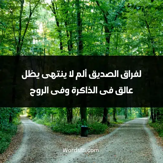 Words about parting with a friend 3 - فن العبارات بفراق الصديق فترى نفسك منهزم أمام كل شئ فلا طعم للفرح بدون صديقك ولا طعم البهجة.