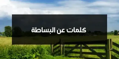 كلمات عن البساطة