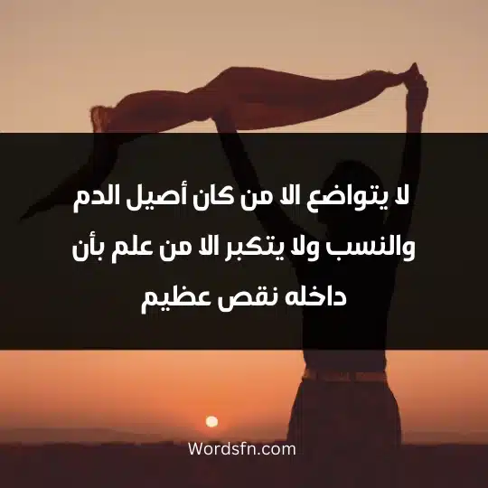 Words about simplicity and happiness 4 - فن العبارات لا يتواضع الا من كان أصيل الدم والنسب ولا يتكبر الا من علم بأن داخله نقص عظيم