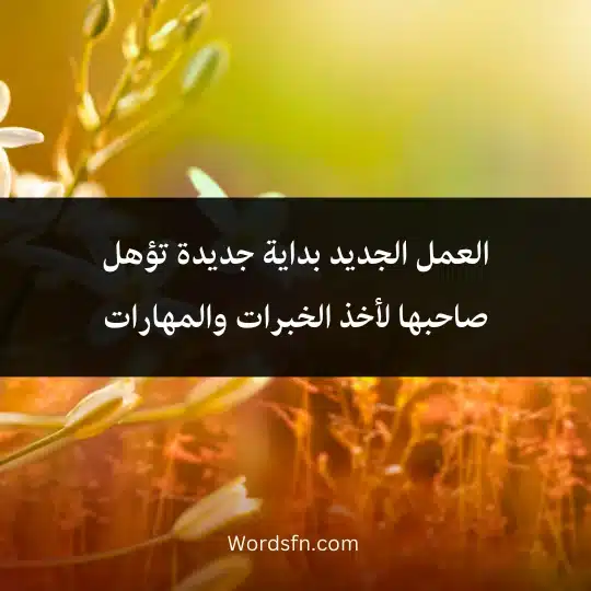 العمل الجديد بداية جديدة تؤهل صاحبها لأخذ الخبرات والمهارات