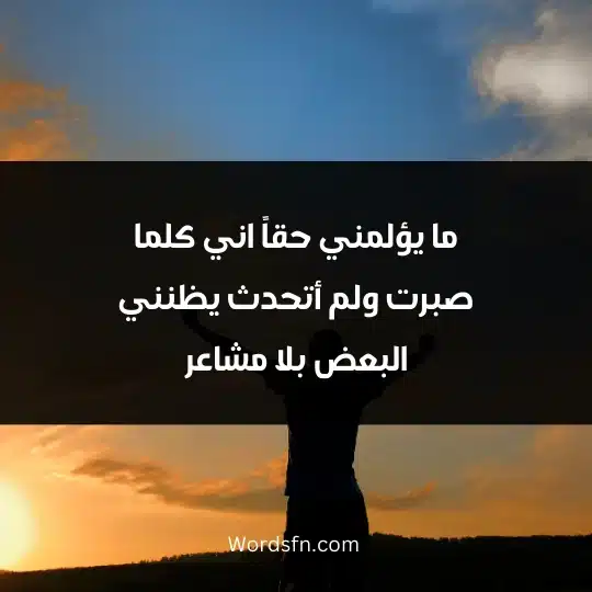 ما يؤلمني حقاً اني كلما صبرت ولم أتحدث يظنني البعض بلا مشاعر