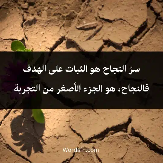 _Words about struggle and success 4 - فن العبارات سرّ النجاح هو الثبات على الهدف فالنجاح، هو الجزء الأصغر من التجربة