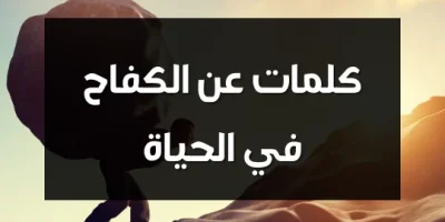 كلمات عن الكفاح في الحياة