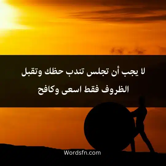 لا يجب أن تجلس تندب حظك وتقبل الظروف فقط اسعى وكافح