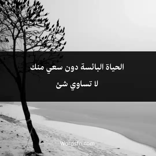 الحياة البائسة دون سعي منك لا تساوي شئ