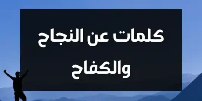 كلمات عن النجاح والكفاح