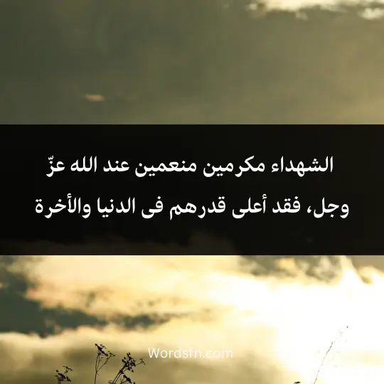 Words about the martyrs 2 - فن العبارات الشهداء مكرمين منعمين عند الله عزّ وجل، فقد أعلى قدرهم فى الدنيا والأخرة