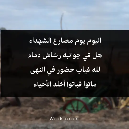 Words about the martyrs 3 - فن العبارات اليوم يوم مصارع الشهداء هل في جوانبه رشاش دماء لله غياب حضور في النهى ماتوا فباتوا أخلد الأحياء