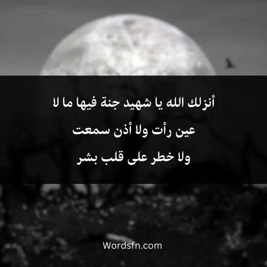 Words about the martyrs 4 - فن العبارات أنزلك الله يا شهيد جنة فيها ما لا عين رأت ولا أذن سمعت ولا خطر على قلب بشر