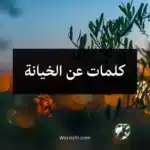 كلمات عن الخيانة
