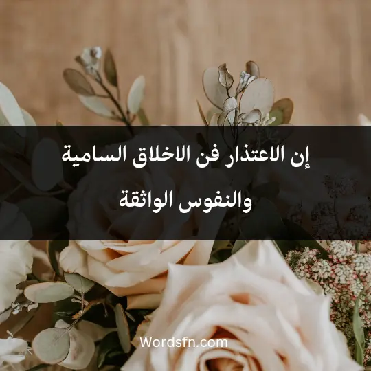 Words of apology1 - فن العبارات إن الاعتذار فن الاخلاق السامية والنفوس الواثقة