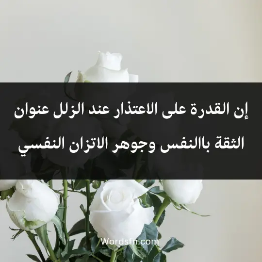 Words of apology2 - فن العبارات إن القدرة على الاعتذار عند الزلل عنوان الثقة باالنفس وجوهر الاتزان النفسي