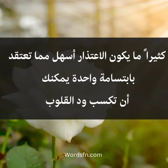 Words of apology3 - فن العبارات كثيرا ً ما يكون الاعتذار أسهل مما تعتقد، بابتسامة واحدة يمكنك أن تكسب ود القلوب