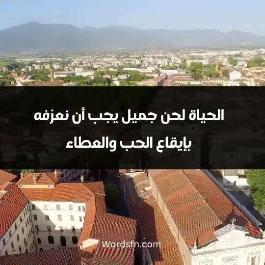 الحياة لحن جميل يجب أن نعزفه بإيقاع الحب والعطاء