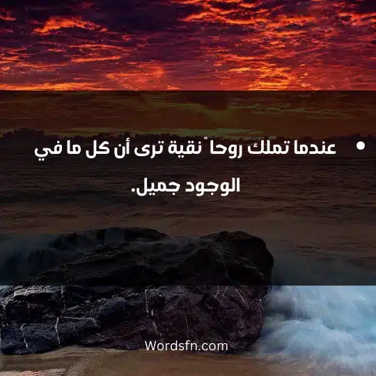 عندما تملك روحا ً نقية ترى أن كل ما في الوجود جميل.